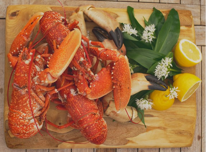YSbeachrangers's tweet photo. 🦞 Want to learn more about the fantastic #CornwallGoodSeaFoodGuide ? 
Why not sign up to our next #FoodForThoughtFriday to hear about sustainable fish and buying local 
19th June 10am
📸 Sam Buckle
#Engage #Inspire #Protect
#Sustainable #Fishing #Local 
👉https://t.co/FZJ3OztgZZ https://t.co/HMYQpNVSQW