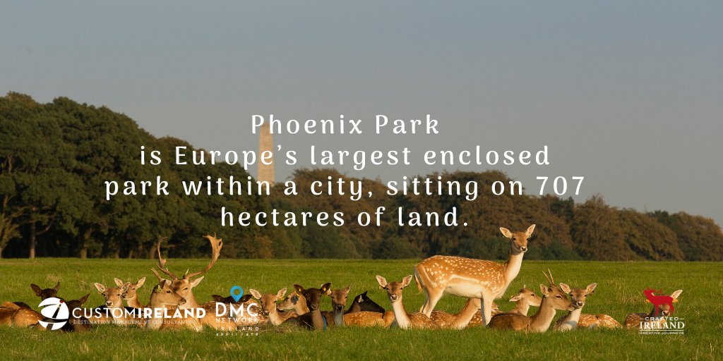 Crafted Ireland tweet media