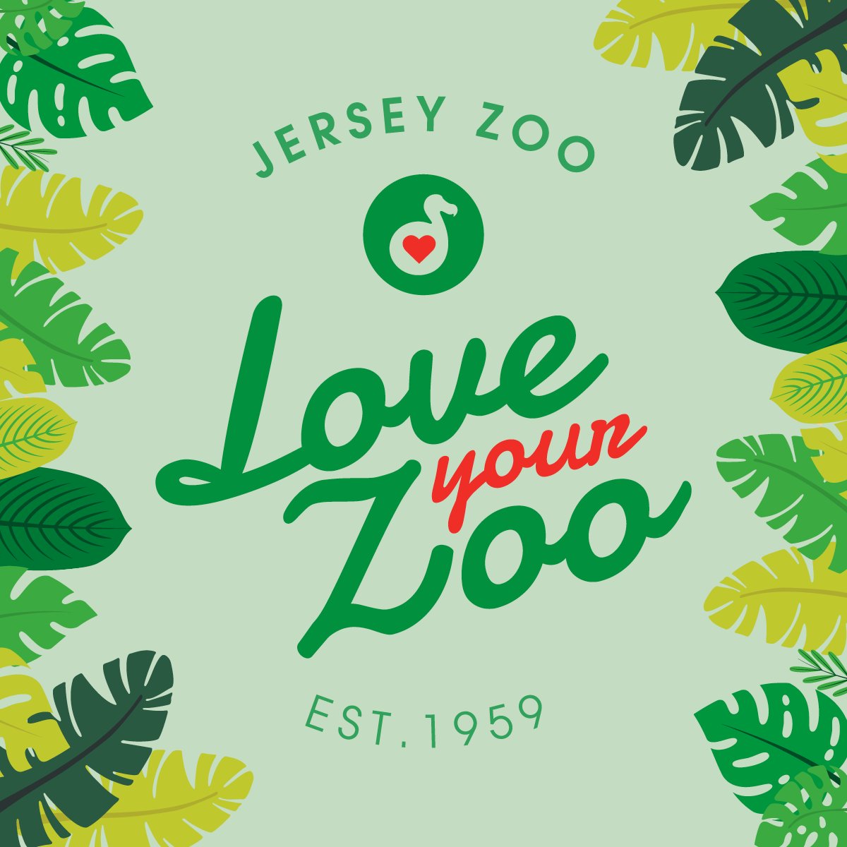 The Beach tweet media