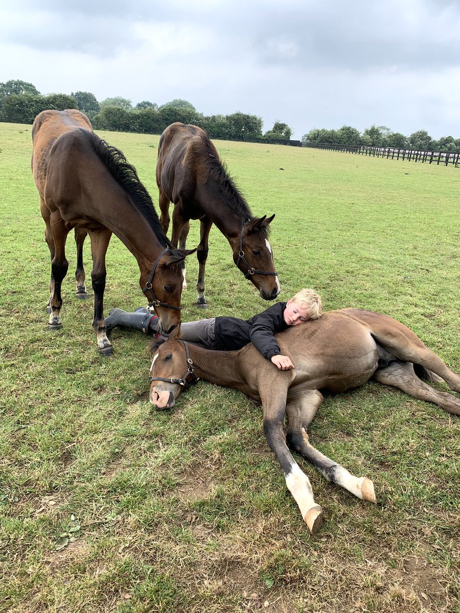 One man and his Havana Gold colt aka ‘Mocha’. School break times have certainly changed!! #foalhugging #🐎😍#FoalFriday #Specialtimes