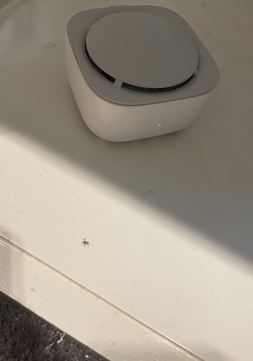 เครื่องไล่ยุง ไล่ยังไง 🙁 มีใครแนำนำเครื่องดักยุงไล่ยุงบ้างอะไรดีชี้เป้าหน่อย