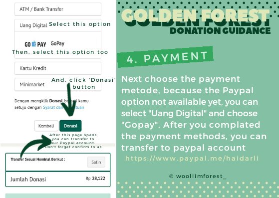 -continue-Environmental problems here, have an impact on the environment elsewhere. The lungs of our world are hurting.Let's care, let's donate If you still have question, just DM us. Thankyou #GoldenChild  #골든차일드  #GOLDEN_FOREST  #Woollim