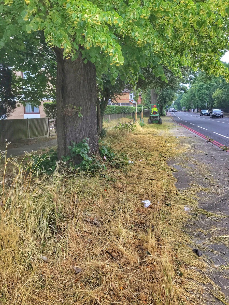 wildlondonpics's tweet image. Can someone pl help, who in @wandbc @WandsworthMayor is responsible 4cutting the verges &amp;amp;green spaces by the roads in #WestPutney as why cut them when they could just b left 4 nature? Offensive, rude &amp;amp;ignorant workmen too @steffisutters @ianLewer1 @putney_bid @timeandleisure