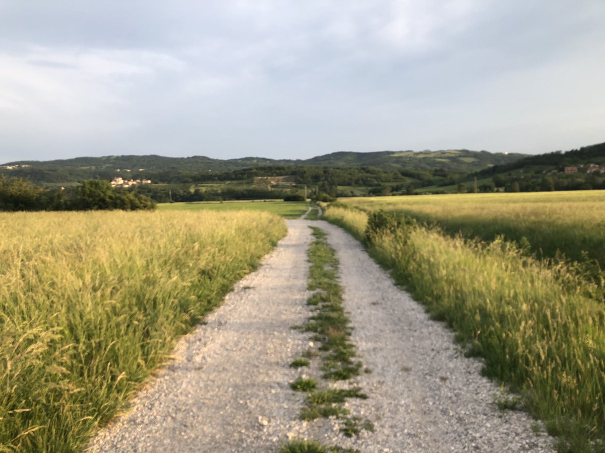 #wajdušna
Izberite svojo kolesarsko traso za vikend. Mi predlagamo Vipavsko dolino. Pa še 15% popusta damo vsem, ki prisegate na twitter. Koda za popust: #WeLoveWajdušna 

wajdusna.com