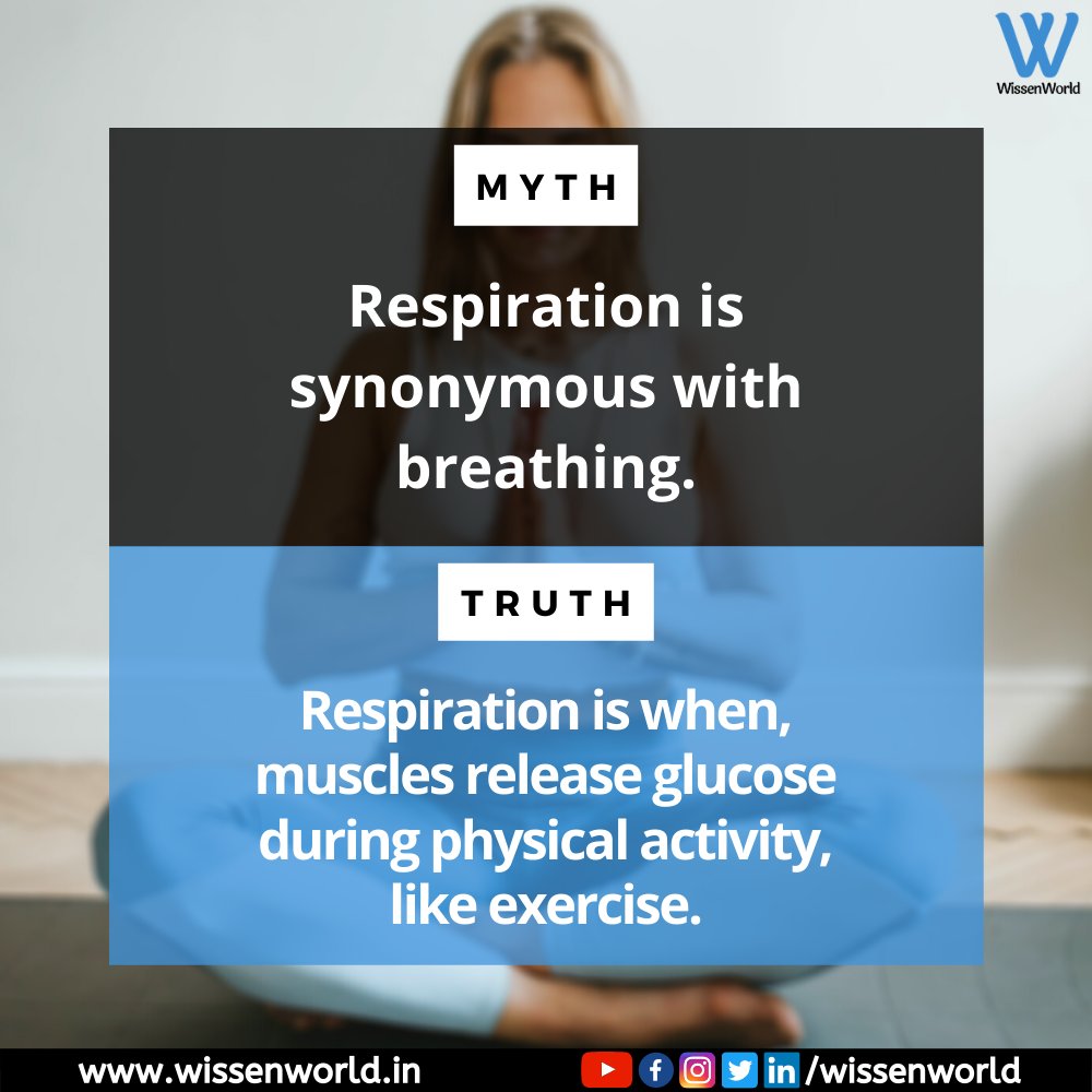 WissenWorld's tweet photo. Stay at #home and #exercise!
#WisTruth
.
#WissenWorld #WW #science #STEM #electronics #physics #chemistry #biology #maths #engineering #technology #robotics #knowledge #innovation #research #website #learning #education #tutorial #blogs #articles #truth #myth https://t.co/2bmcIpqlSz