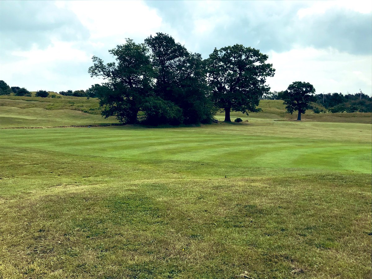 Thanks @indigrowuk using fusion 15-0-12 and compass bio active on the approaches excellent results great colouring and coverage @jontysafe @IndigrowR #awesome #payandplay