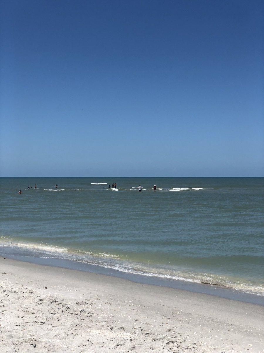 frankw1971's tweet photo. #sanibelisland https://t.co/JLYQdAwaXO