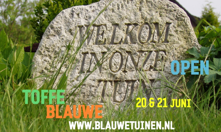 Open Toffe 'blauwe' Tuinen route op 20 en 21 juni - mailchi.mp/1cb90d63d142/a…