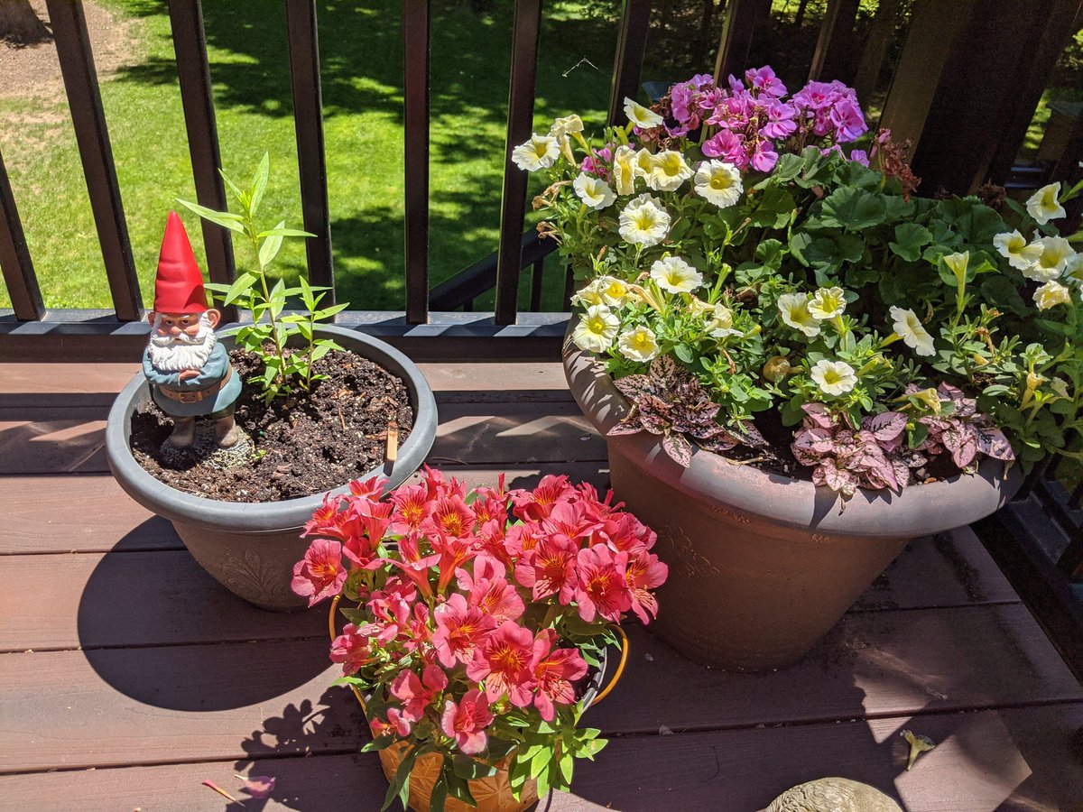 flavorjones's tweet photo. Today is my last day at VMware (née Pivotal) after almost 12 years as a client and employee.

I'm sad to be leaving so many amazing people, but happy that my desk gnome is now living his best life in the sun.

I start at @Shopify in a week and I'm UNREASONABLY EXCITED about it. https://t.co/OBPaCwsNgb
