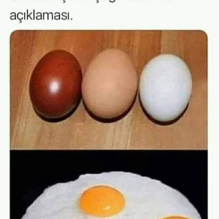 İnsanların ten rengi farklı olabilir ama içimız aynı .