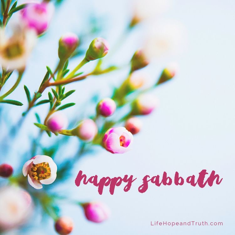 Ellen G White A Twitter Parents Set Apart A Little Time Each Day For The Study Of The Sabbath School Lesson With Your Children Give Up The Social Visit If Need Be