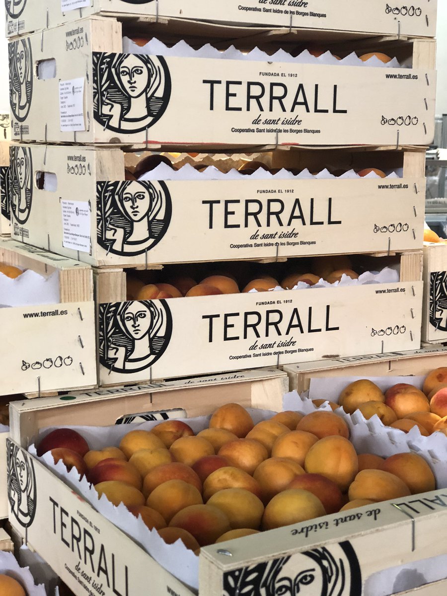 TerrallBorges's tweet photo. Albercocs. 
Fruita de qualitat i de proximitat. 
Menjar saludable💚 de temporada i amb moltes propietats.
.
.
.
#lesborgesblanques #lesgarrigues #fruitaterralldesantisidre #fruitadolça #fruitadetemporada #Terrall #albercoc #fruitadolçadelesterresdelleida https://t.co/hRZyv7pCHN