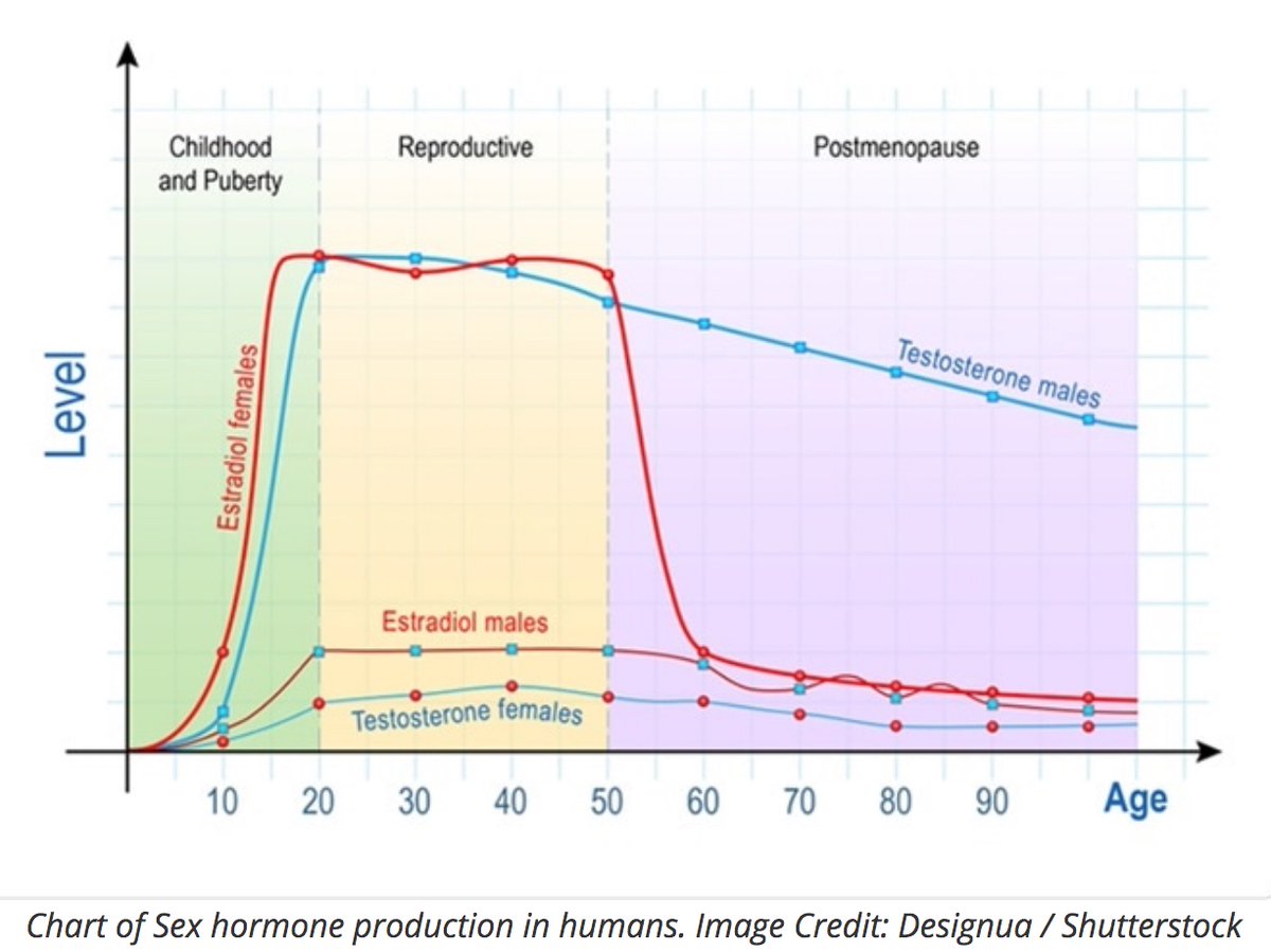 (1/4)HORMONE FACTS THAT WILL EXPLODE YOUR BRAIN.

You probably spent most of your life thinking that women have lots of estradiol &amp; men have lots of testosterone. 

That sex hormones were this kinda binary phenom.

You probably saw horrible graphs like THIS (w/ NO AXIS LABELING):