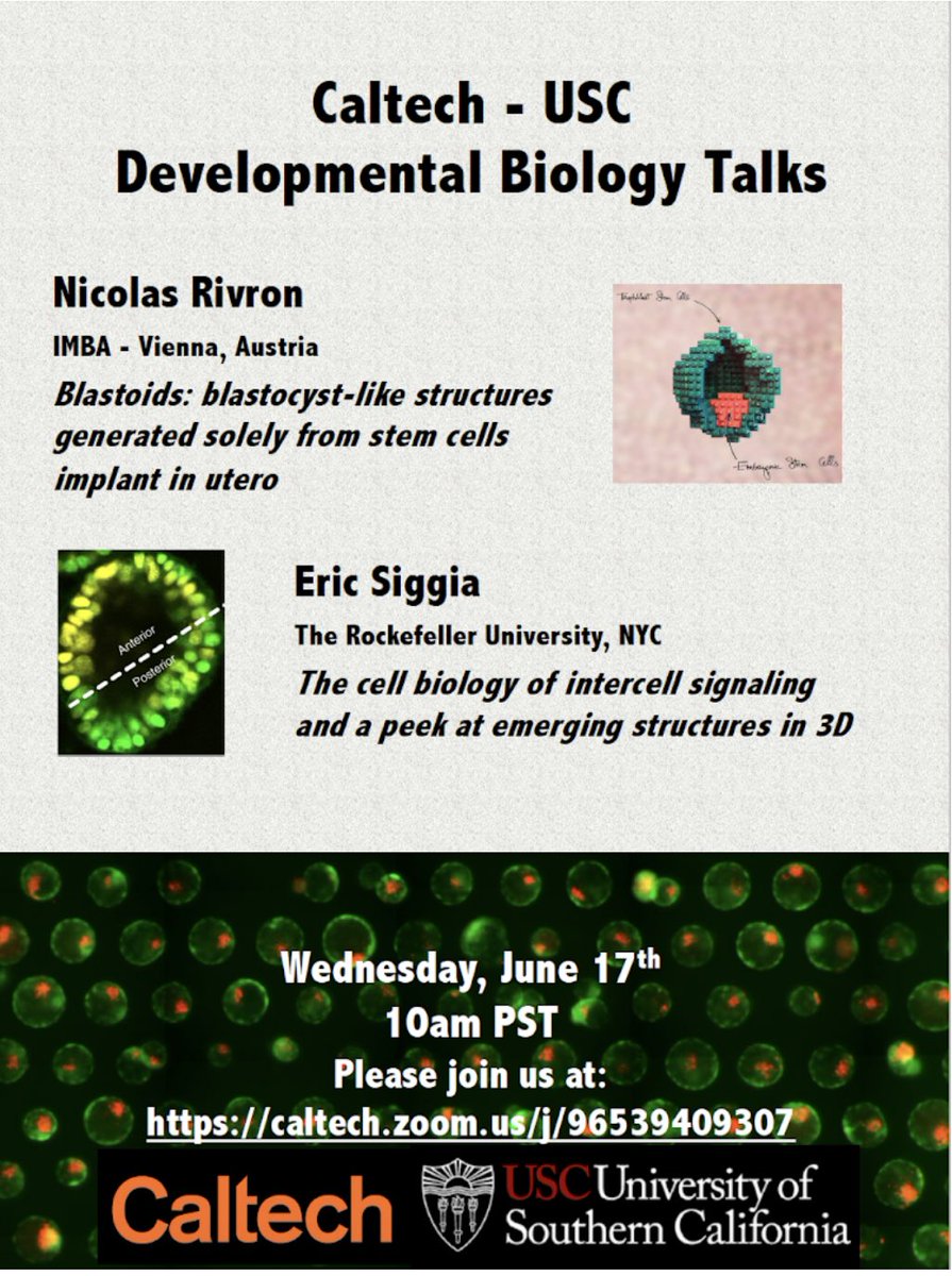 Caltech/USC_DevBio tweet media