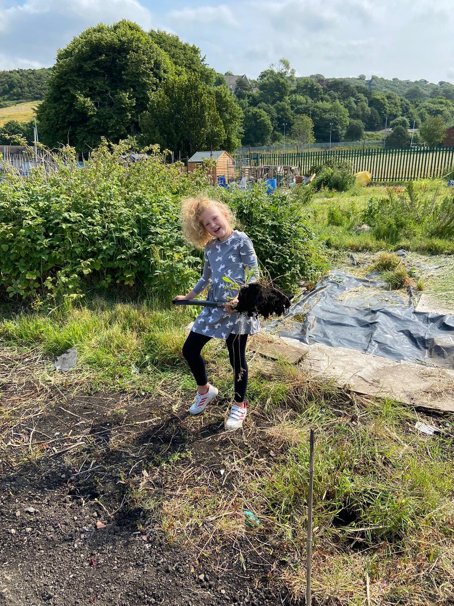 HubVernon's tweet photo. @ysgol_3 Olivia and Mandy’s adventure today was helping to dig and plant veg in their Grandad’s allotment 😊 https://t.co/UWr92tXCFX
