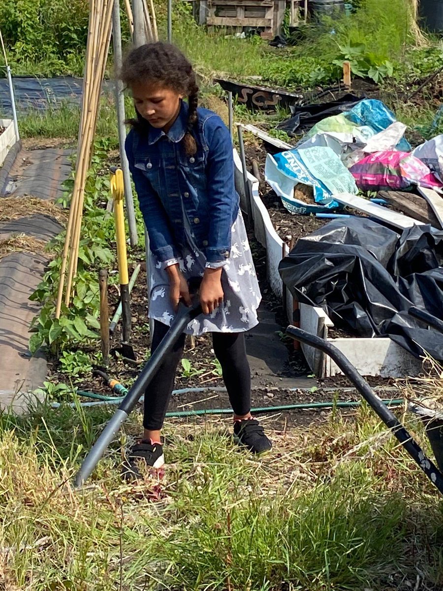 HubVernon's tweet photo. @ysgol_3 Olivia and Mandy’s adventure today was helping to dig and plant veg in their Grandad’s allotment 😊 https://t.co/UWr92tXCFX