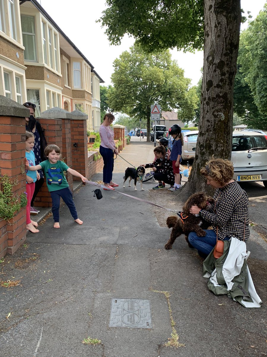 MPS_2019's tweet photo. A fabulous Rollo’s Rambles with Rollo, Maisy, Miss Foley, Mrs Dent and seeing our Marlborough families and the amazing things that have been made and what they have been doing. 🐾 https://t.co/OO4SmIEIbw