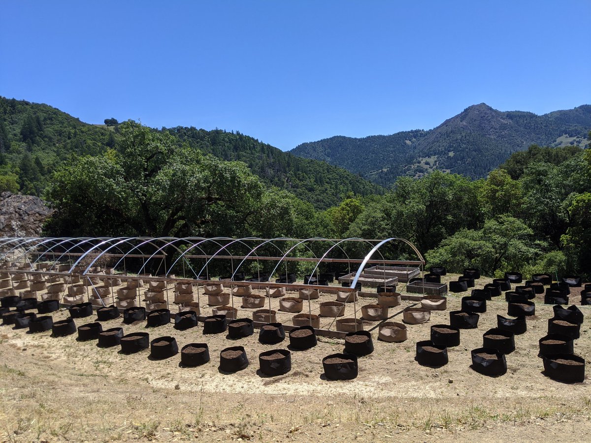 CryptoTeeZCT's tweet photo. Took on a consult job 4hr away... Glad to be apart of helping people change their lives forever... #droughtstrong #youdreamit #iliveit #fireonthemountain #nothingbutcake #isurvivedthedrought 2020 https://t.co/yhaaGLC1eW