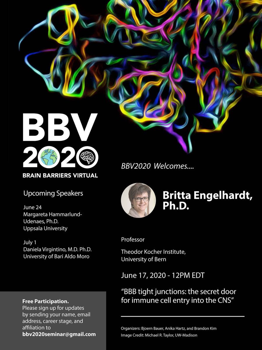JulchenS90's tweet photo. With all the conferences canceled this is a great opportunity to catch up on #bloodbrainbarrier #research !
#BBV2020 #scientificresearch #science https://t.co/BsGiVE51pG