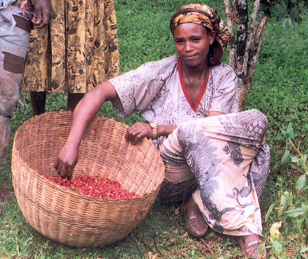 And who could forget coffee?Not meIt’s African too, originally native to the highlands of Ethiopia. The story goes that the goatherder Kaldi first noticed the stimulant effects on his goats. The local abbot boiled the beans into a drink that helped him study/12