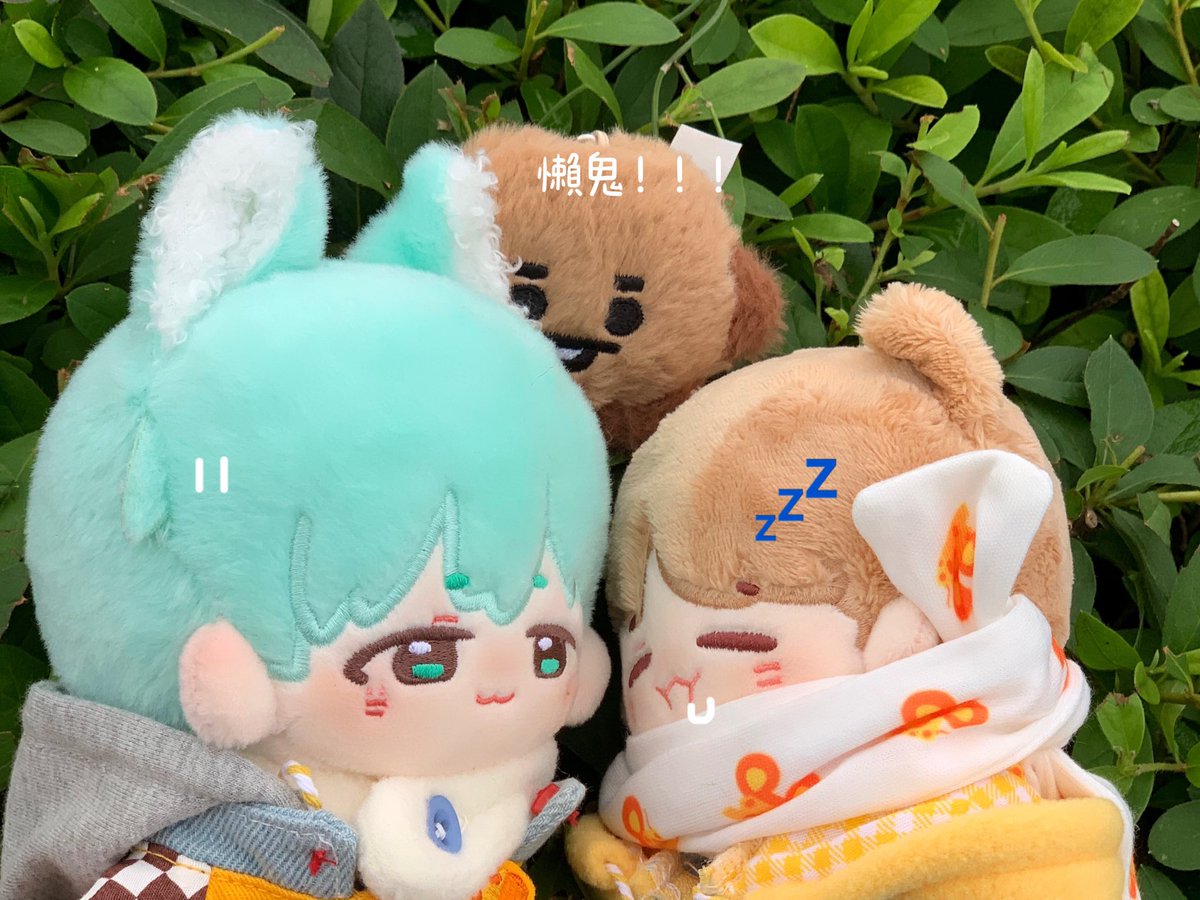 🌙𝕄𝕠𝕠𝕟𝕝𝕚𝕘𝕙𝕥 ℂ𝕒𝕥 🏹️ tweet media