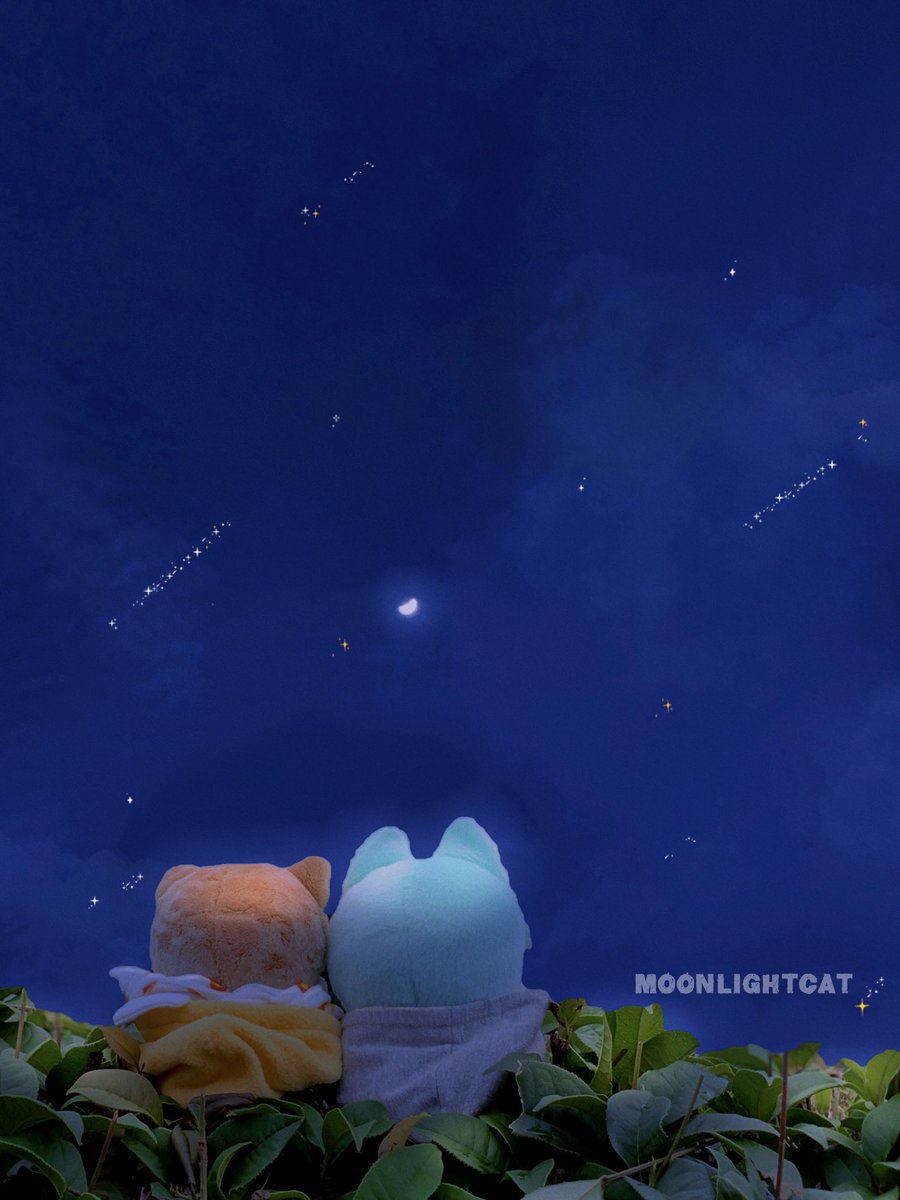 🌙𝕄𝕠𝕠𝕟𝕝𝕚𝕘𝕙𝕥 ℂ𝕒𝕥 🏹️ tweet media