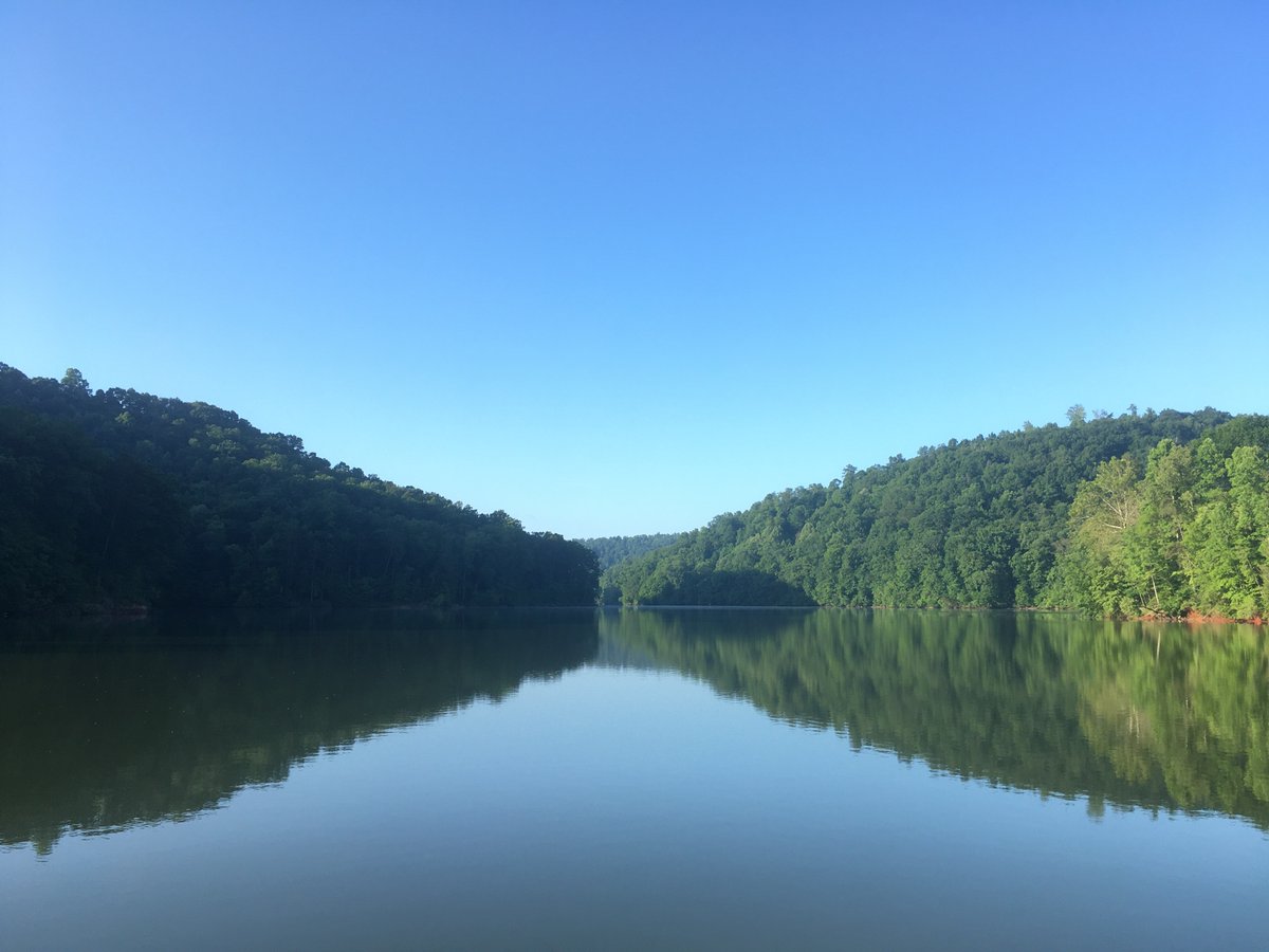 Cre8ivityCounts's tweet photo. And into the woods I go, to lose my mind and find my soul. #Tennessee #explore https://t.co/zwxIenJrnm
