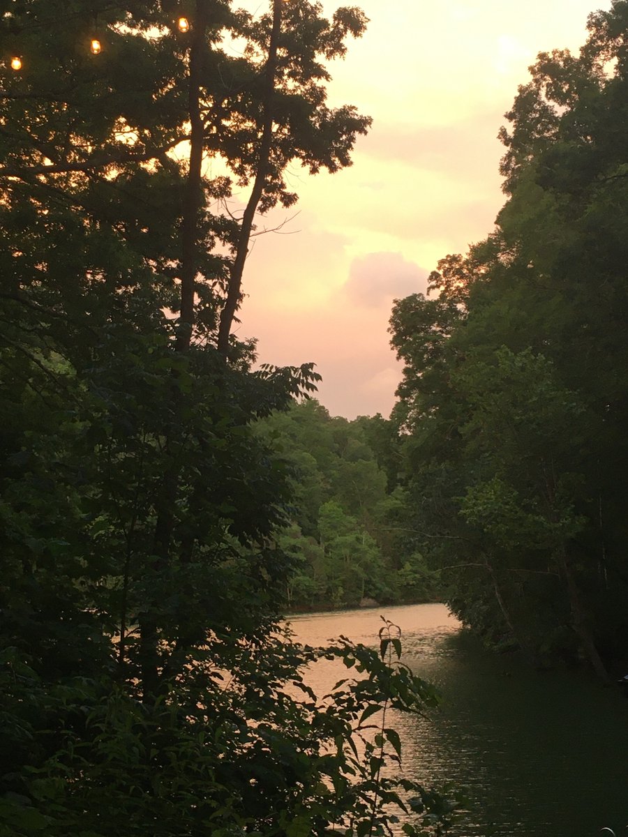 Cre8ivityCounts's tweet photo. And into the woods I go, to lose my mind and find my soul. #Tennessee #explore https://t.co/zwxIenJrnm