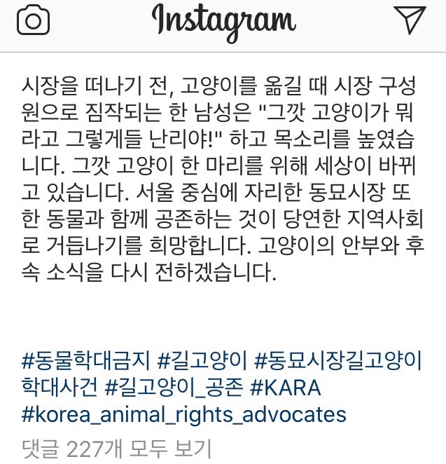 kimsong_v's tweet photo. “그깟 고양이 한 마리를 위해 세상이 바뀌고 있습니다.” https://t.co/yq7Q1KNCnv