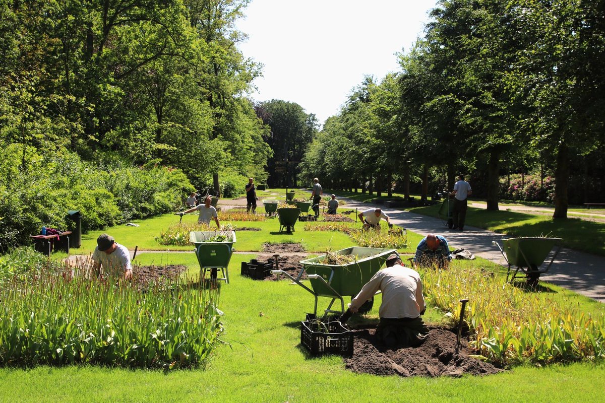 De tuinmannen zijn bijna klaar met het rooien van de miljoenen bloembollen. Zo houden we ons park gezond. Aansluitend vinden spit-, snoei- en andere onderhoudswerkzaamheden plaats om het park klaar te maken voor seizoen 2021.🌳