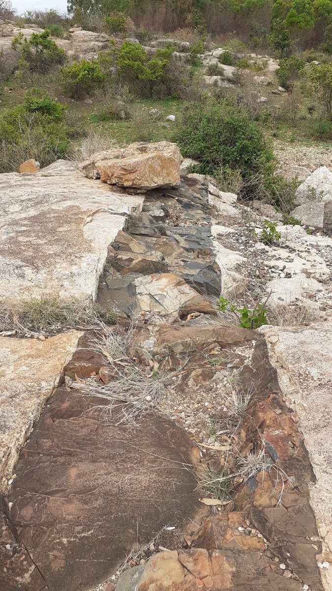 Ever noticed a dark, well-defined sear thru lighter-coloured rocks? You've stumbled upon a dyke/dike - a vertical sheet of rock formed in the fracture of older rock faces!Across the  #DeccanPlateau, dykes are common & are indicative of continental rifting processes.Thread/