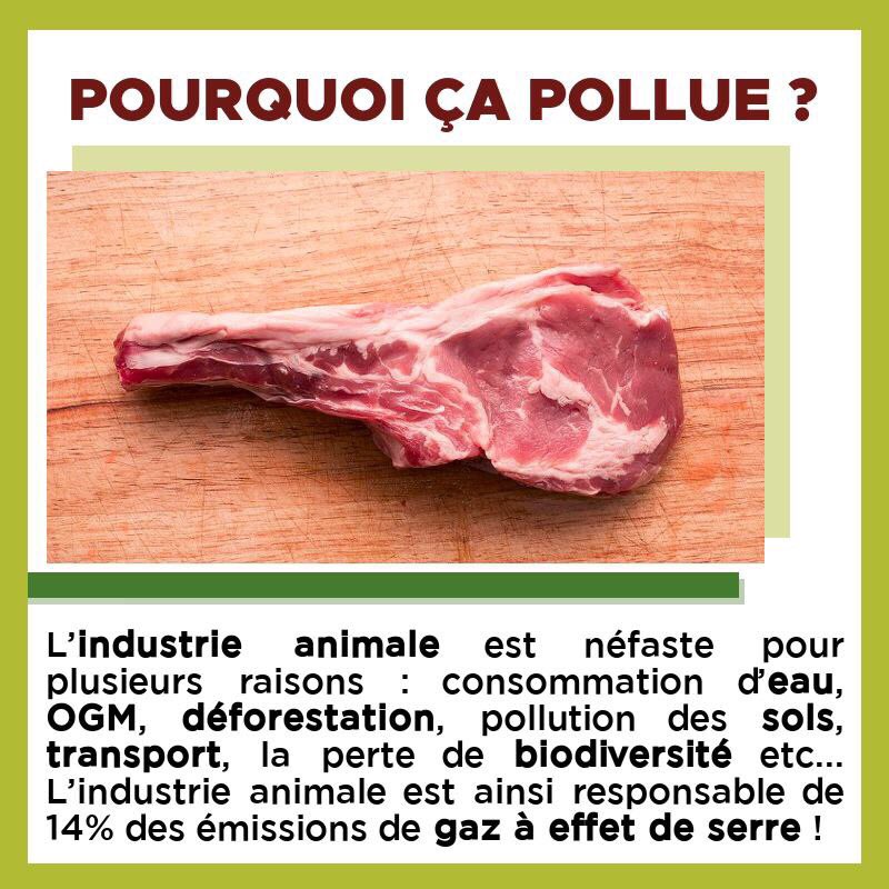 yfc_laval's tweet photo. https://t.co/6nApD0qn0y