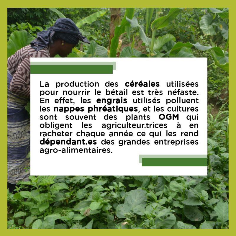 yfc_laval's tweet photo. https://t.co/1Jd4YKZFu7
