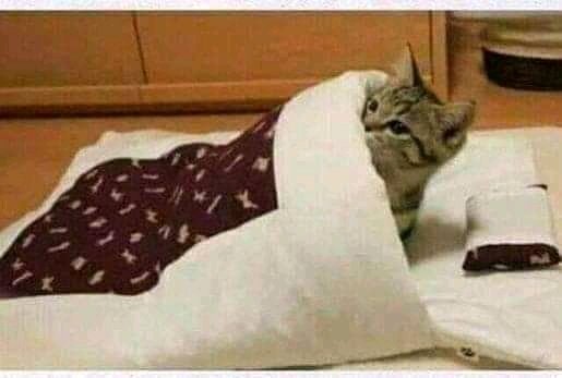 Neznet4's tweet image. Umntu ingaske abeyiNtso abephakathi kwamanqathe ♨️🤗♨️ #coldfronts