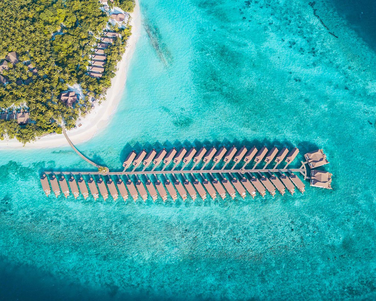 Koamas_Escapes's tweet photo. Reethi Faru, a stunning, one of a kind, tropical island paradise, where the glistening, crystal clear waters of our house reef meet the lush, tropical foliage of the coconut grove. #KoamasLuxuryEscapes #ReethiFaru #ReethiFaruResort #MaldivesResort https://t.co/snunnvJP5o https://t.co/bWGzECyIUo