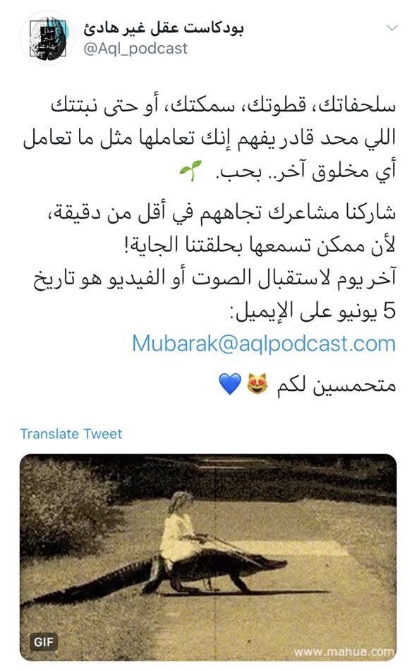 rm_cs1's tweet photo. مرة مبسوطة إني سمعت مشاركة تسنيم في بودكاست عقل غير هادئ @Aql_podcast 🥺♥️ 

الحلقة جمييلة ومشاركتها زادتها جمال 😍👏🏻 https://t.co/NTG5f8EqqA