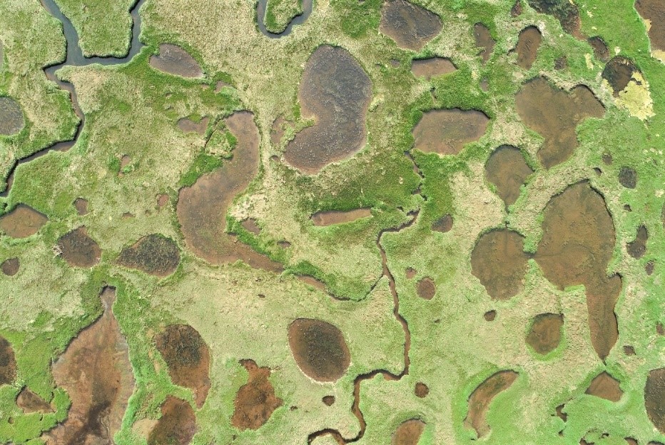 CleanFoundation's tweet photo. #saltmarshes form vital connections between ocean and land. By restoring and protecting these coastal systems, we can drive our economic recovery and invest in our resiliency. 🐟📈 #OceansWeekHFX

Learn more at https://t.co/2i5TXG5nUq &amp; https://t.co/koJfW4SPCw 🌊 https://t.co/KwzN69jgzk