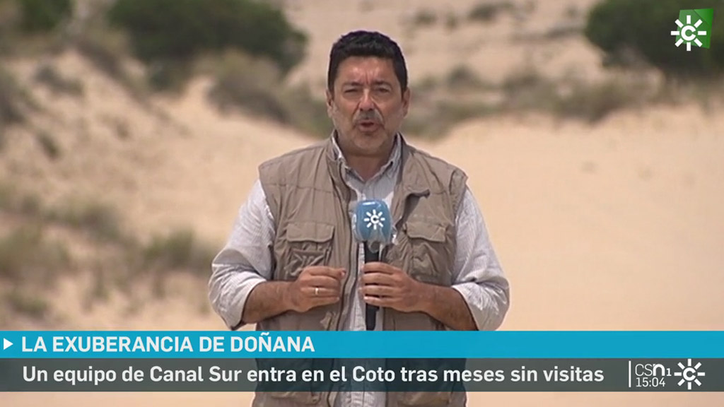 Canalsur Cádiz tweet media