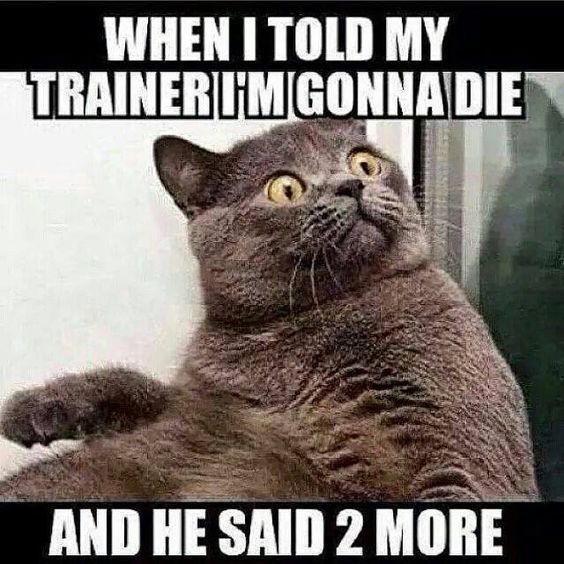 Tightlines Wellness Professionals tweet media
