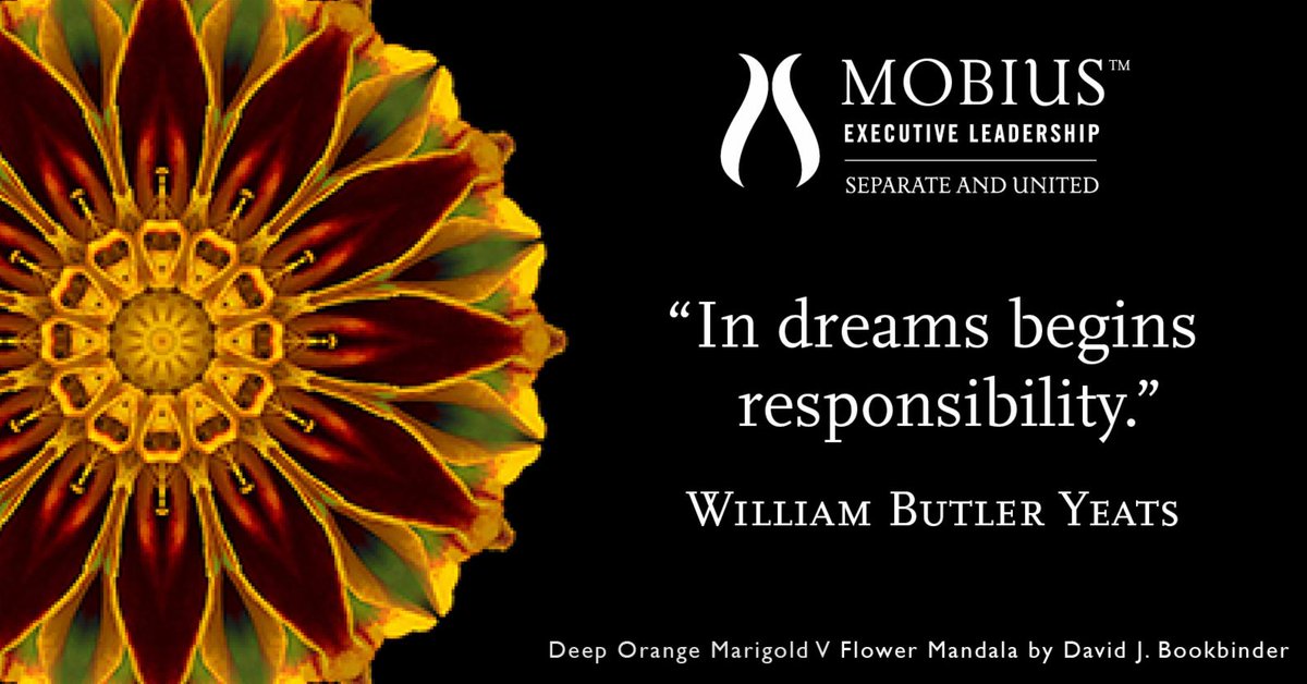 MobiusExecLeadership tweet media