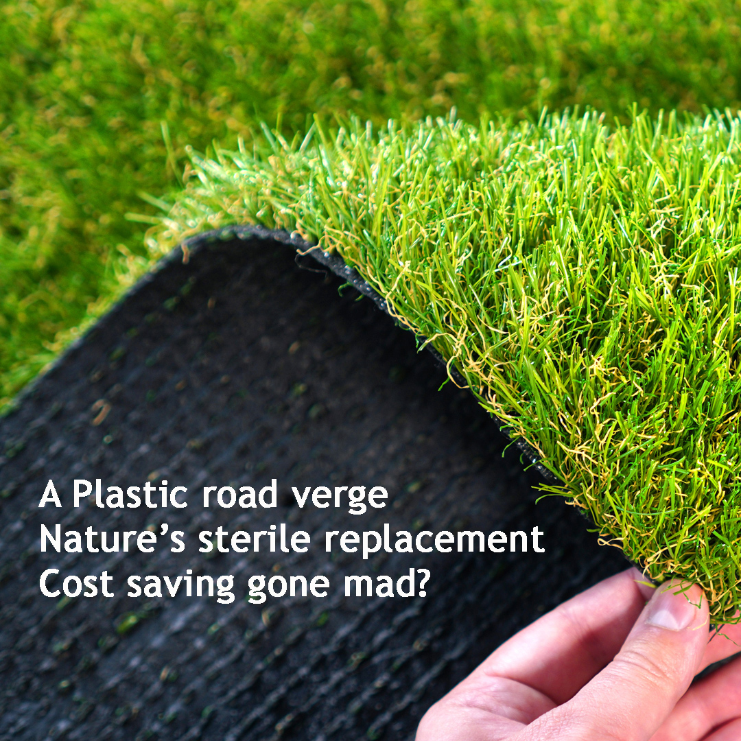 Love_plants's tweet photo. Today's haiku is inspired by the revelation that Newcastle Council have fitted PLASTIC grass on their road verges. Thanks to Sophie Yeo for the heads-up on Twitter... https://t.co/51EOLxK2Dh
#haikufriday #roadvergecampaign #naturefail https://t.co/npQdvYwEkO