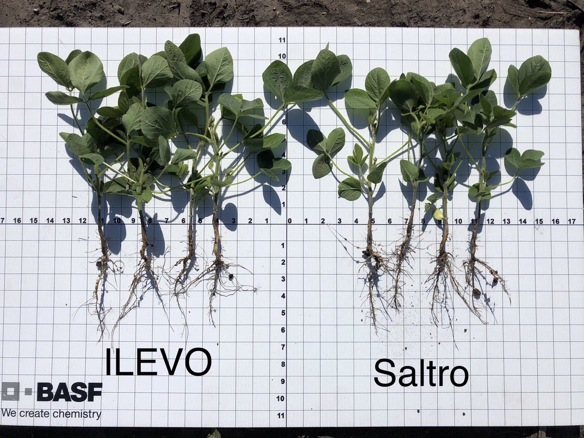 Jason Geis tweet media