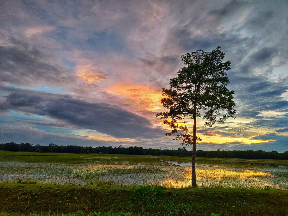 NibedanPathak's tweet photo. Colors of the sunset. 

#sunset #sunsetlover #asus5z https://t.co/BmToeLu6tl