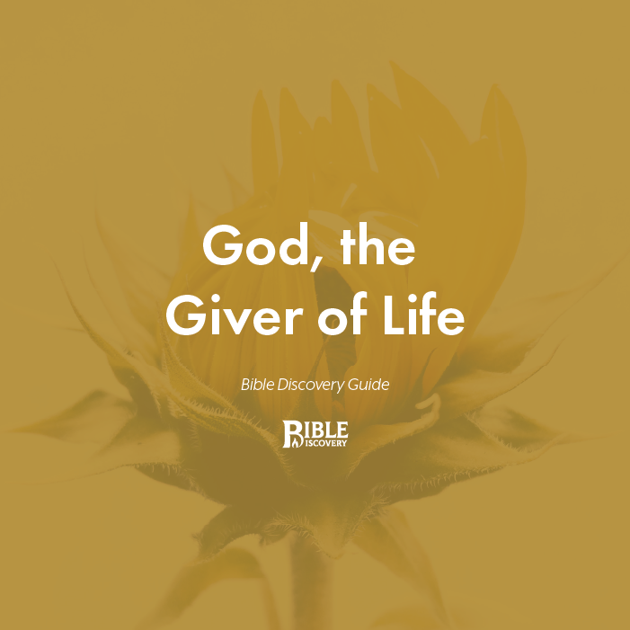 Jesus Christ is known as a Rescuer. He has saved us from our destructive sin and its end result, Hell. Jesus Christ is also God, the Creator of life. He has a purpose for each person’s life that is revealed when they choose to follow Him.