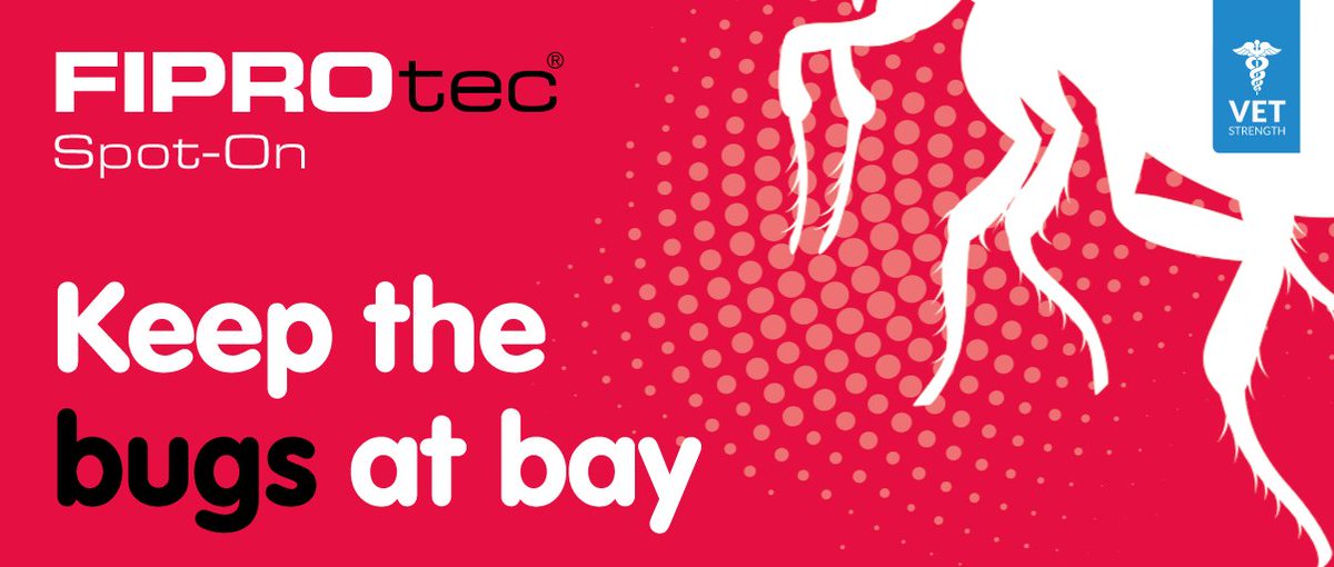 Are you ready for the #fleaseason? Stock up on Beaphar’s comprehensive range of on-animal and household #fleatreatments, and help your customers keep the bugs at bay! #beaphar #fleas #stockupnow #increaseyoursales