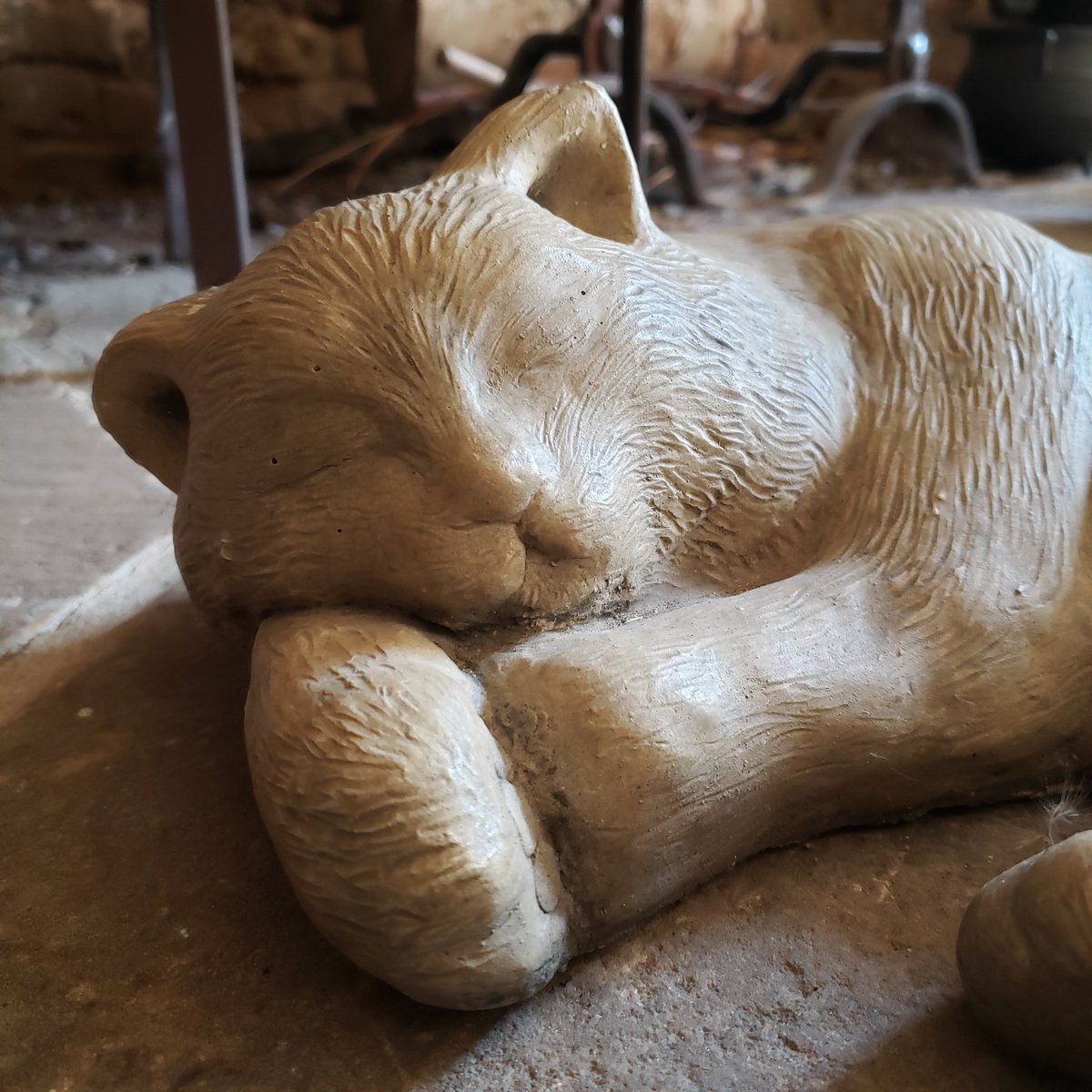 Perth Museum (@perthmuseum) on Twitter photo I see your lion sampler <a href="/BytownMuseum/">BYTOWN MUSEUM</a> and agree it's on point, but have you seen our kitty in the kitchen? She loves basking in the sunlight and soaking up the heat from the fire. #BestCat #CuratorBattle I see your lion sampler <a href="/BytownMuseum/">BYTOWN MUSEUM</a> and agree it's on point, but have you seen our kitty in the kitchen? She loves basking in the sunlight and soaking up the heat from the fire. #BestCat #CuratorBattle