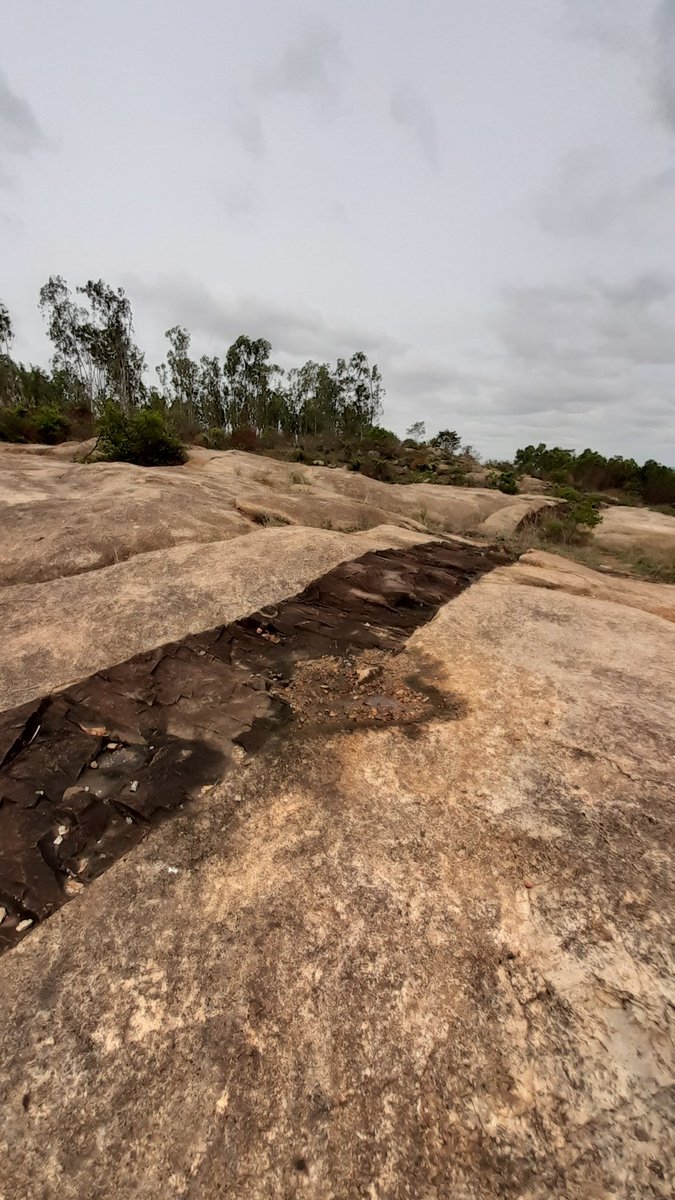 Magmatic dykes formed when magma intruded into a crack/fracture & crystallized into a sheet cutting across other rock layers.Dykes vary in thickness & are always younger than the surrounding rock. Often they occur in swarms - many dykes formed during a single intrusive event.