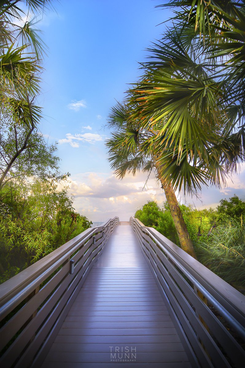 Trish Munn TV tweet media