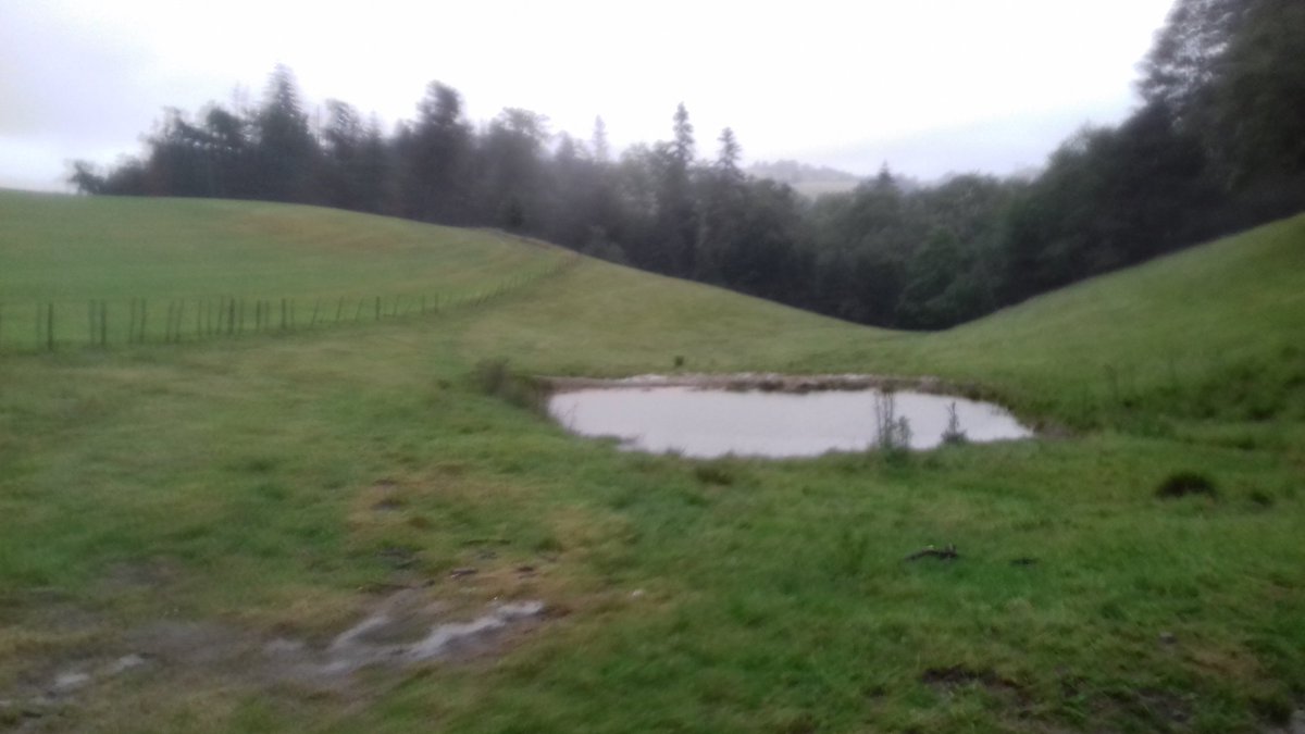 goninmik's tweet photo. Aujourd'hui il pleut ! ! Oui , mais demain, pourquoi ne pas stocker cette #eau pour abreuver les animaux et arroser les cultures ? 
#bonsenspaysan levons les freins administratif @dguillaume26 @moreaujb23 @PatriceVerchere 
#ceuxquifontlelait #agriculture https://t.co/OHRh9d2aX0