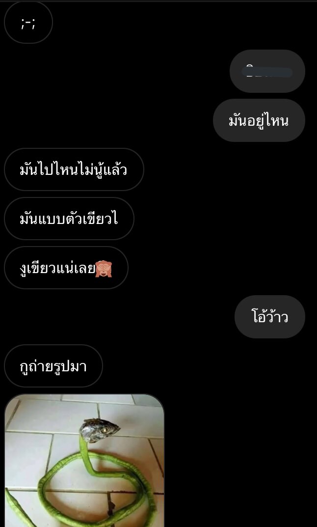 เมื่อเพื่อนบอกงูขึ้นบ้านแล้วไม่มีใครอยู่ด้วย